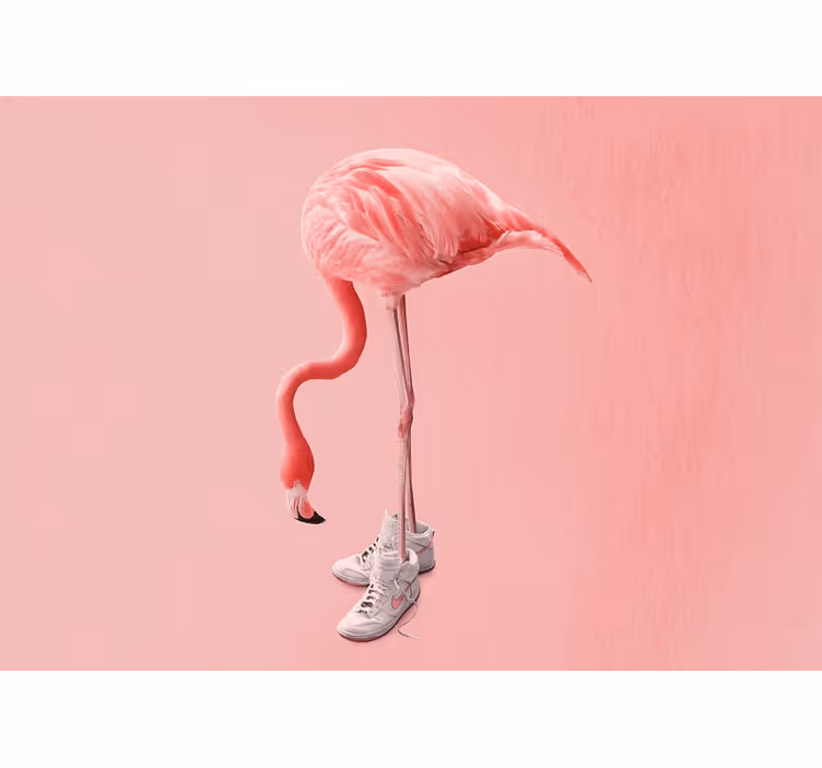 Flamingo with sneakers living room wall mural - TenStickers