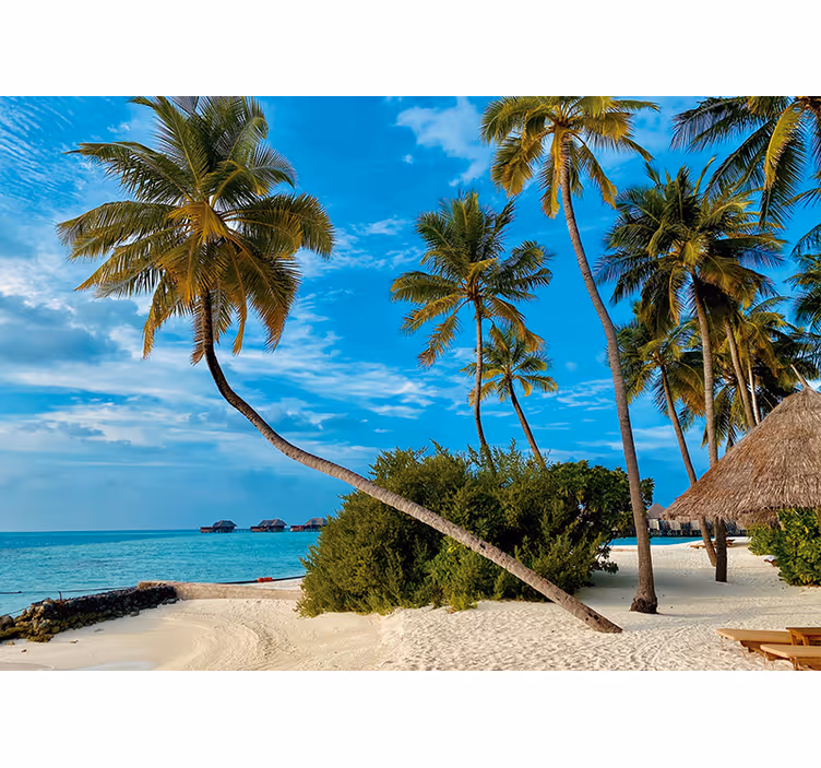 Nature wall mural tropical palm landscape - TenStickers