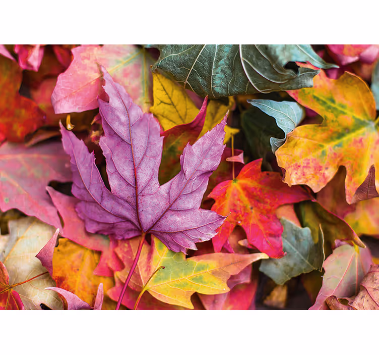 Flower mural with vibrant leaf designs - TenStickers