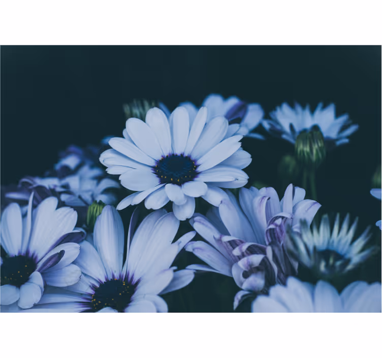 Flower mural serene floral composition - TenStickers
