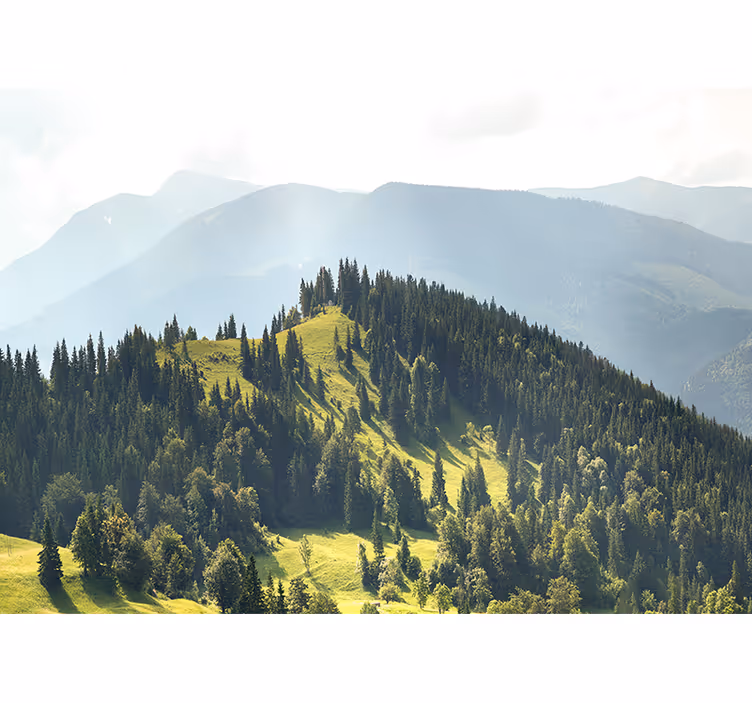 Landscape mural wallpaper mountain forest view - TenStickers