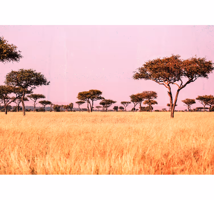 Serene savanna landscape landscape mural wallpaper - TenStickers