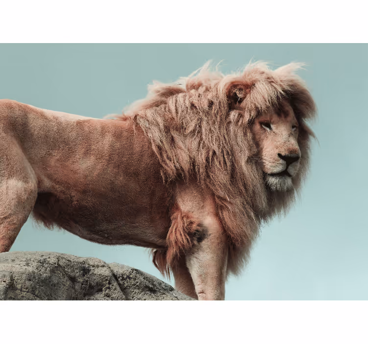 Lion mural majestic lion pose - TenStickers