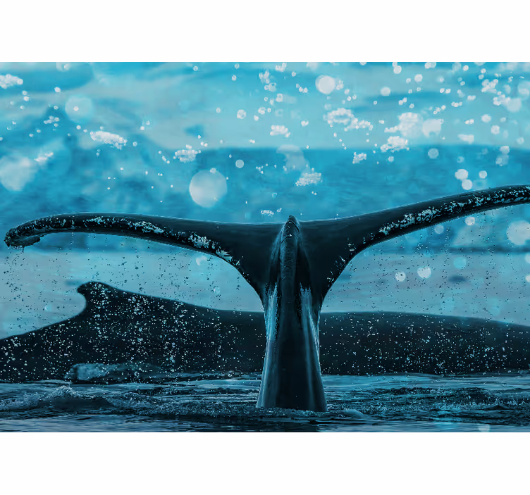 Animal wall mural whale fluke splash - TenStickers