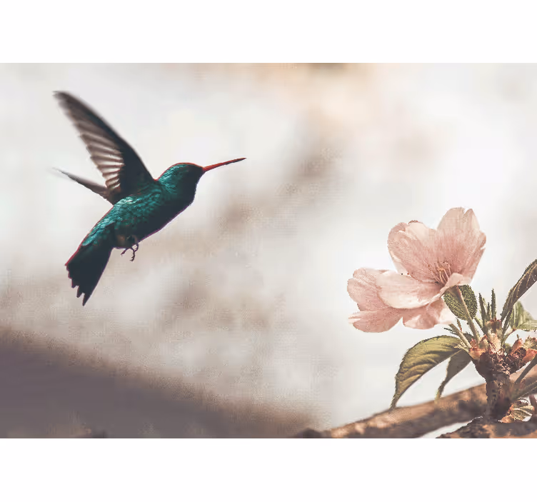 Hummingbird and blossom animal wall mural - TenStickers
