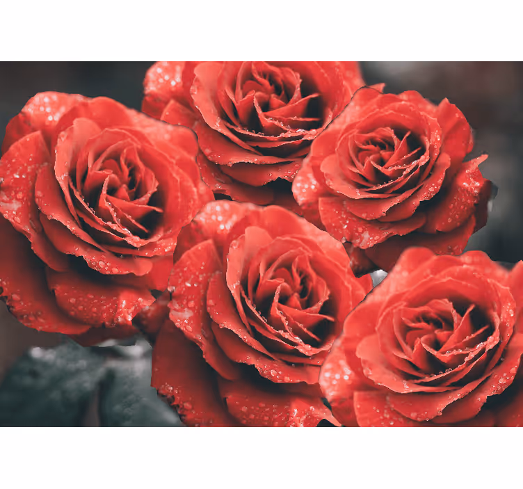 Flower mural crimson rose blooms - TenStickers