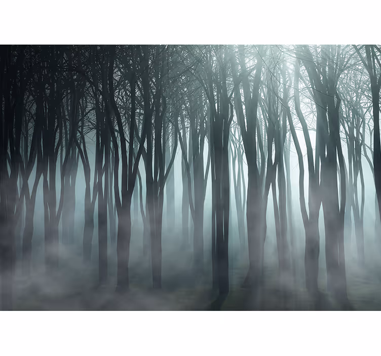 Tall trees and fog nature wall mural - TenStickers