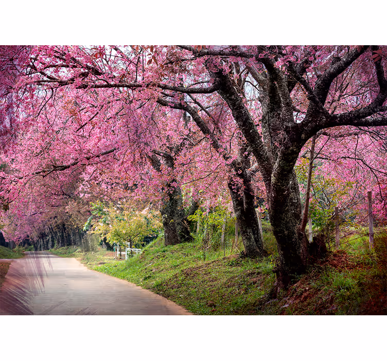 Flower mural blooming pathway - TenStickers