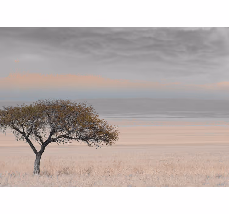 African savannah 3 colours Marriage Wall Murals - TenStickers