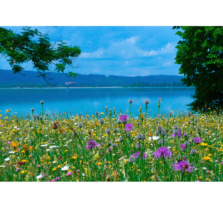 Flower mural lush meadow flora - TenStickers