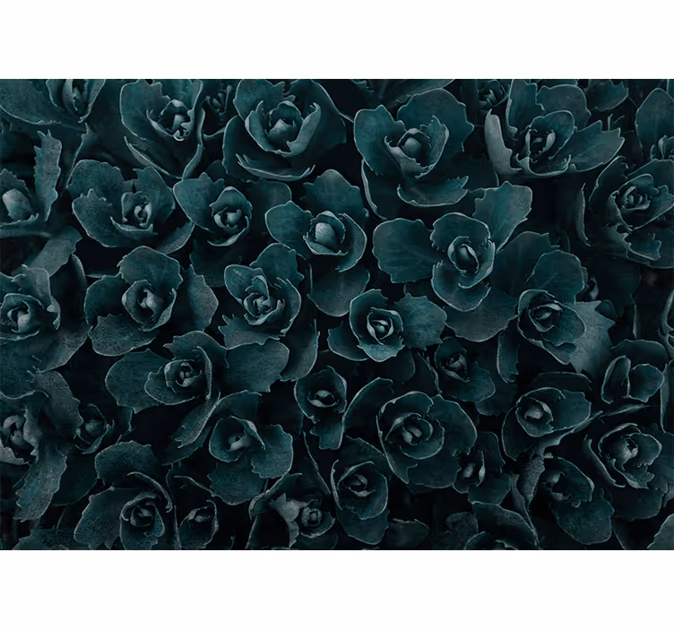 Flower mural elegant rose bloom - TenStickers
