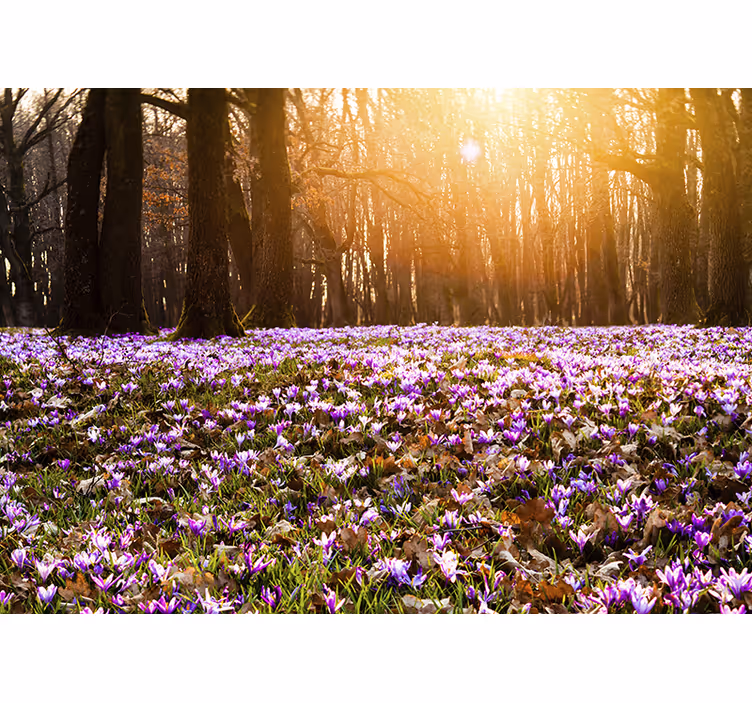 Flower mural sunlit flower meadow - TenStickers