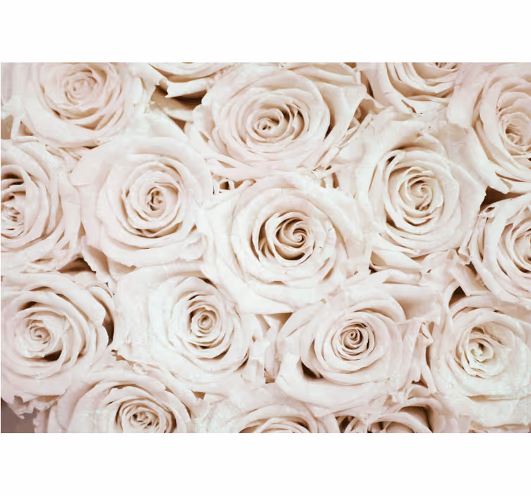 Flower mural soft rose arrangement - TenStickers