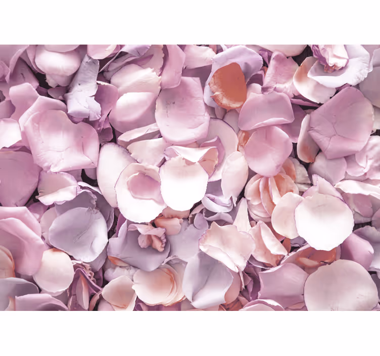 Flower mural rose petal close-up - TenStickers