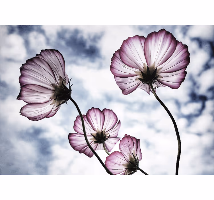Flower mural delicate floral elegance - TenStickers