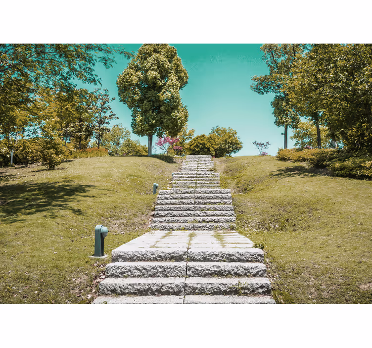 Nature wall mural staircase in the woods - TenStickers