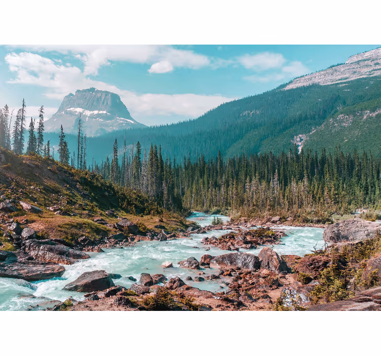 Verdant mountain stream landscape mural wallpaper - TenStickers