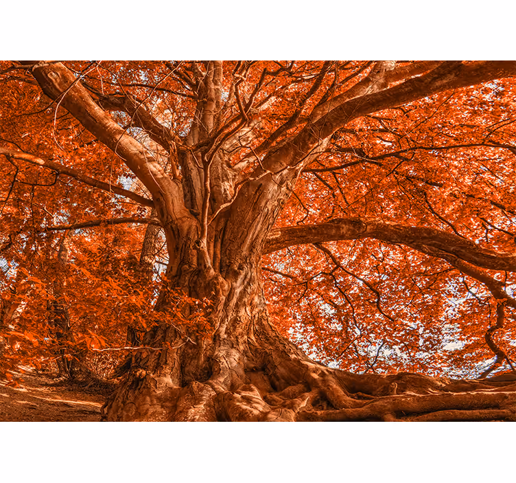 Tree mural majestic autumn tree - TenStickers