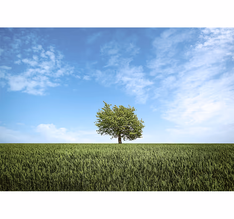 Nature wall mural solitary tree landscape - TenStickers