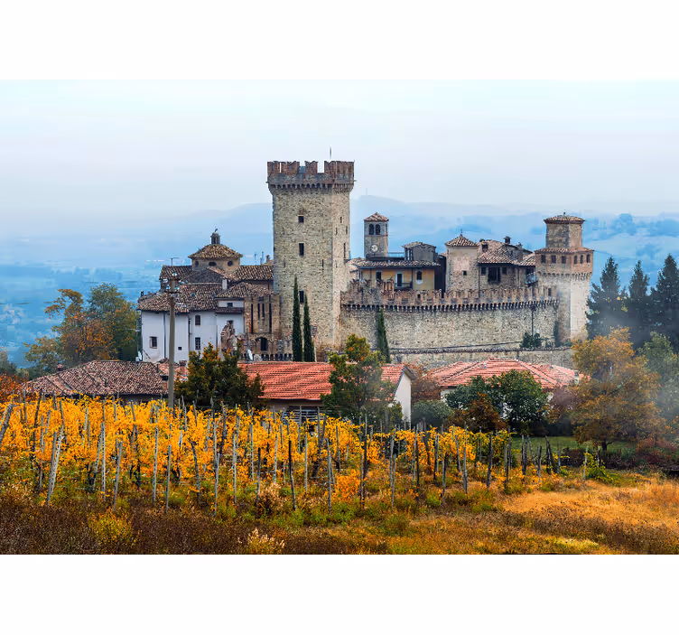 Vineyards in Emilia-Romagna nature wall mural - TenStickers