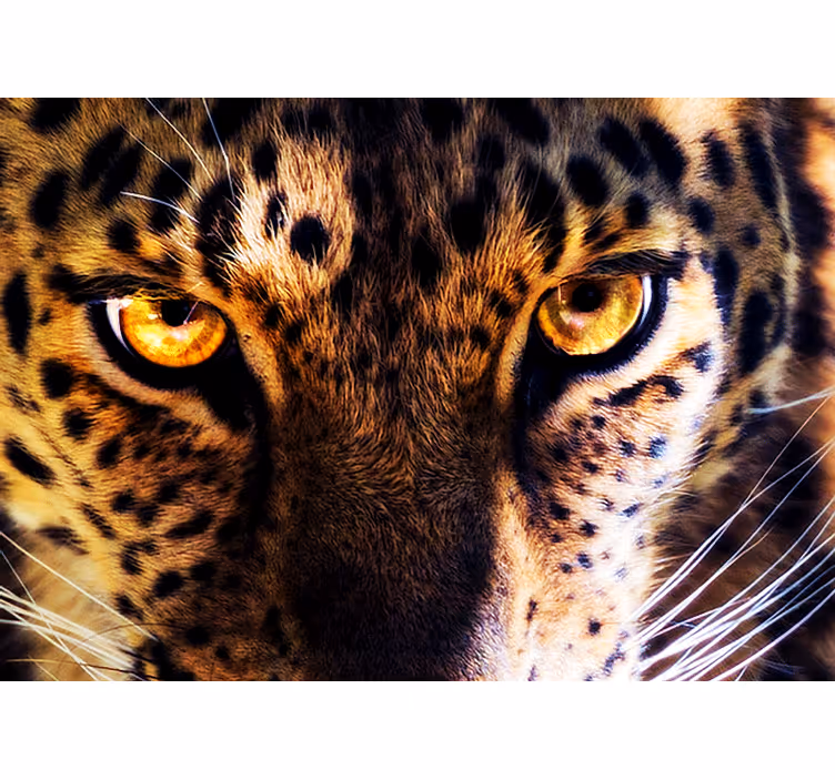 Lion mural majestic leopard gaze - TenStickers