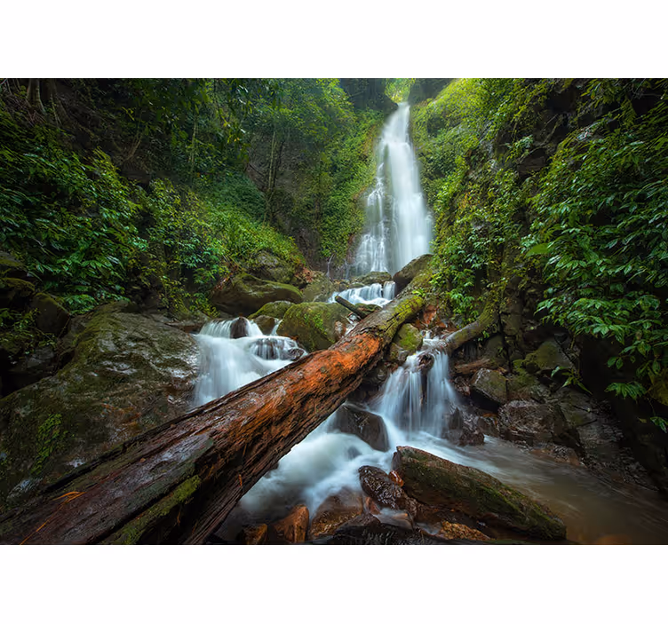 Serene Waterfall Cascade waterfall mural - TenStickers