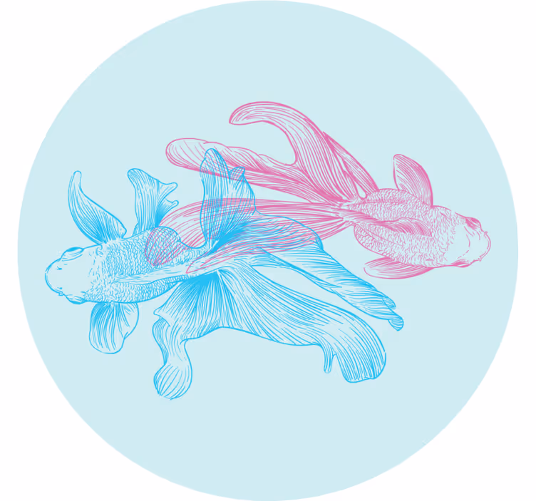 Geek coasters with dual-colored fish designs - TenStickers