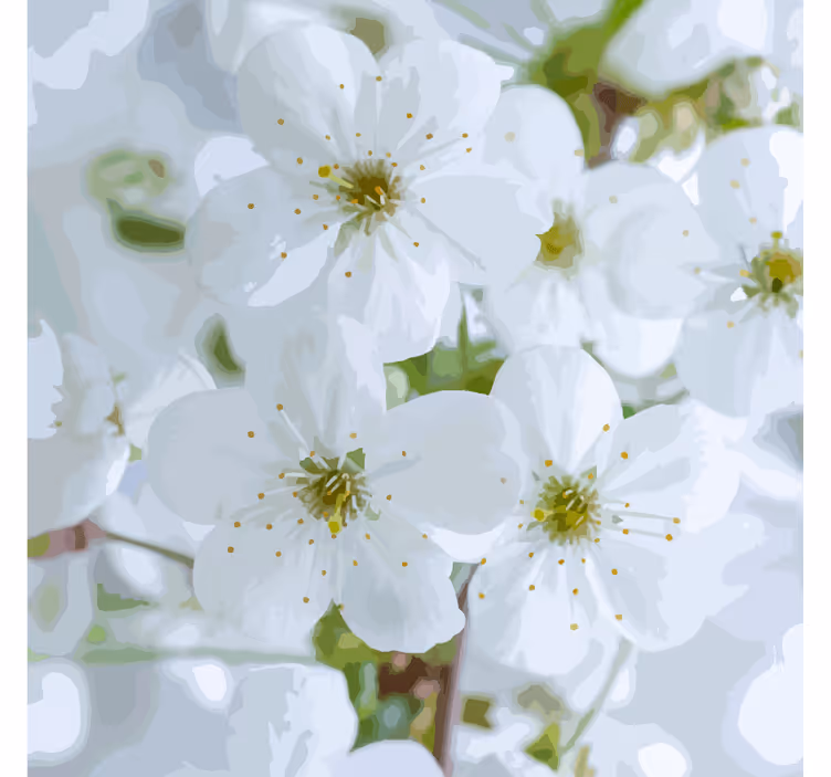 Coasters with delicate cherry blossoms design - TenStickers