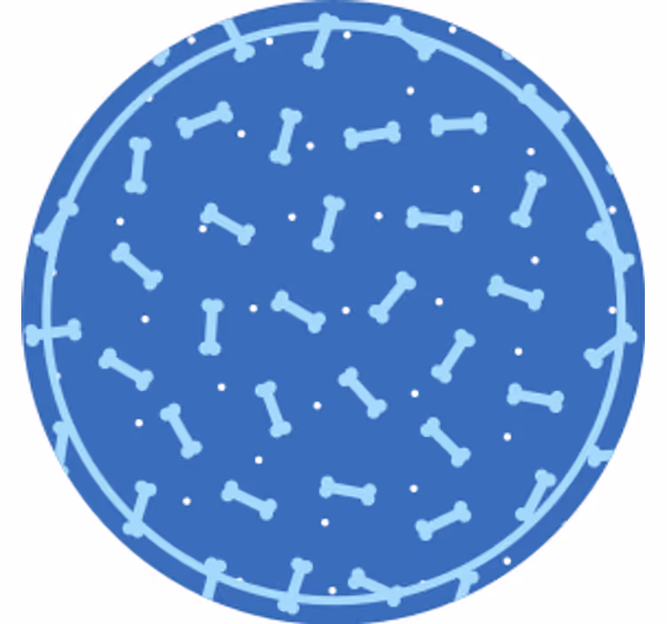 Coasters with bone pattern circle design - TenStickers