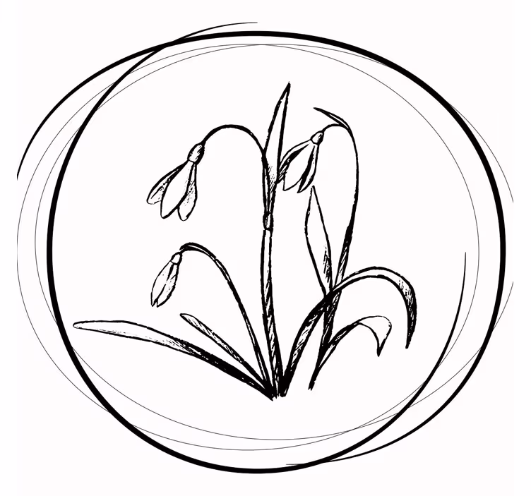 Elegant floral sketch coasters - TenStickers