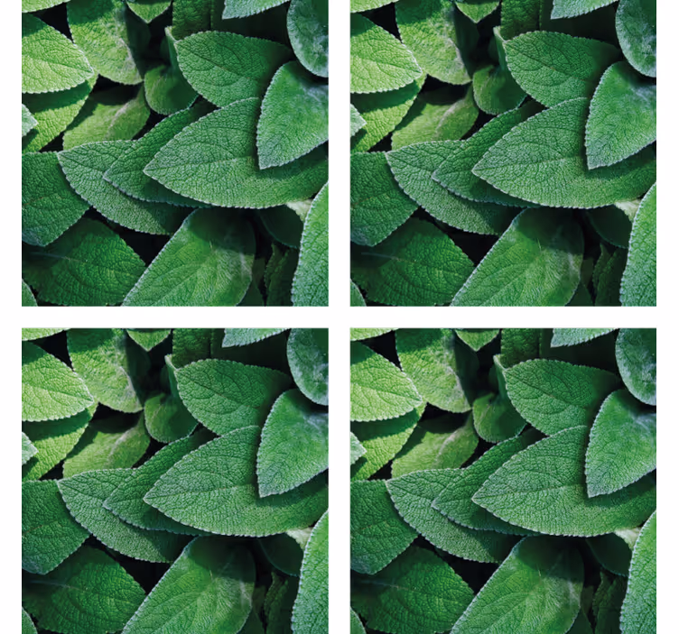 Coasters with vibrant green leaf design - TenStickers