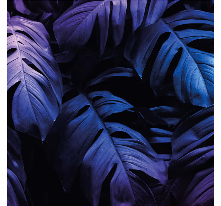 Verdant foliage motifs coasters - TenStickers