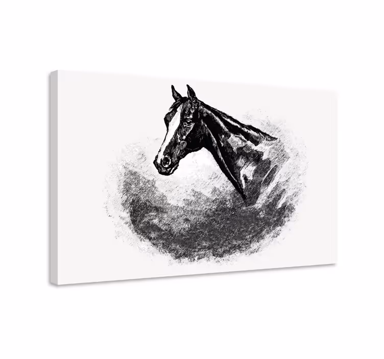 Horse wall art graphite horses artwork - TenStickers