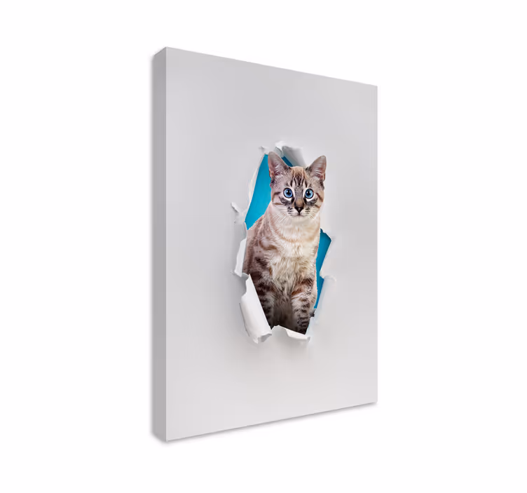 Cat wall art for your feline friend - TenStickers