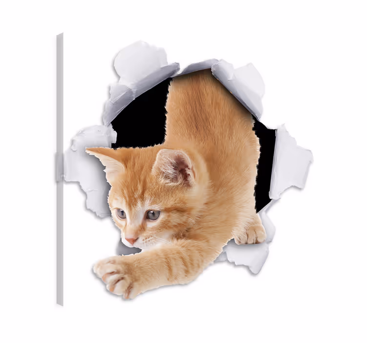 Cat wall art illusion cat wall decal - TenStickers