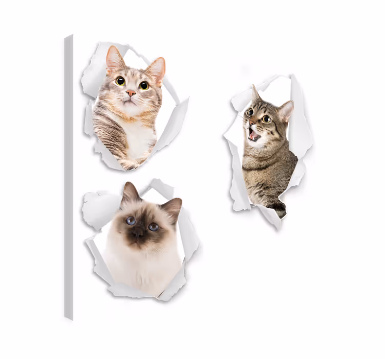 Cat wall art kittens trompe l'oeil - TenStickers