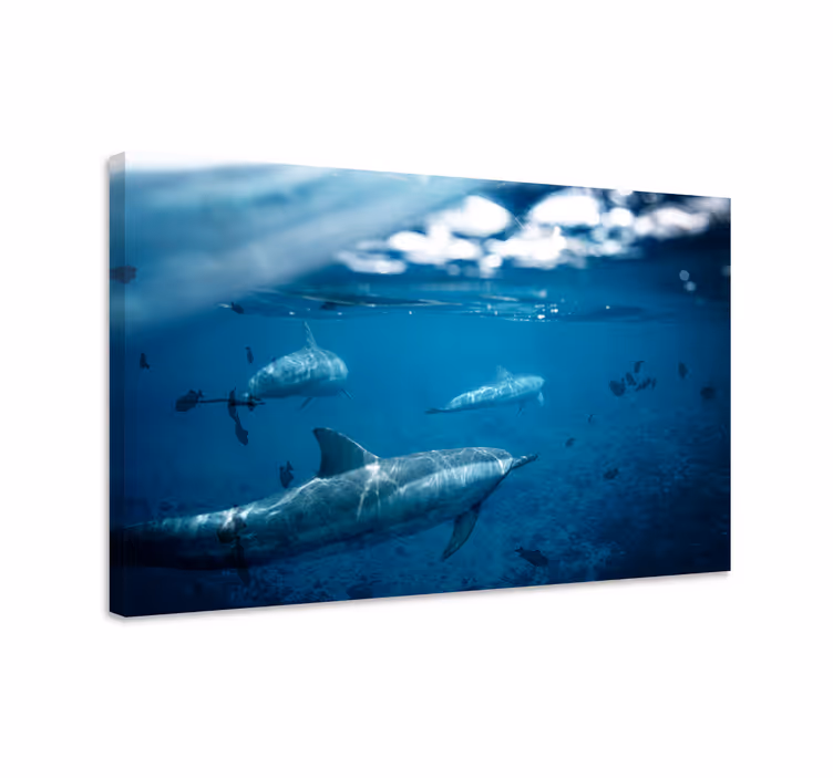 Fish canvas featuring dolphins and fishes - TenStickers