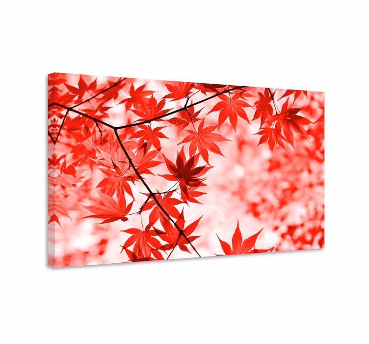 Vivid Red Maple Leaves Flowers  canvas - TenStickers