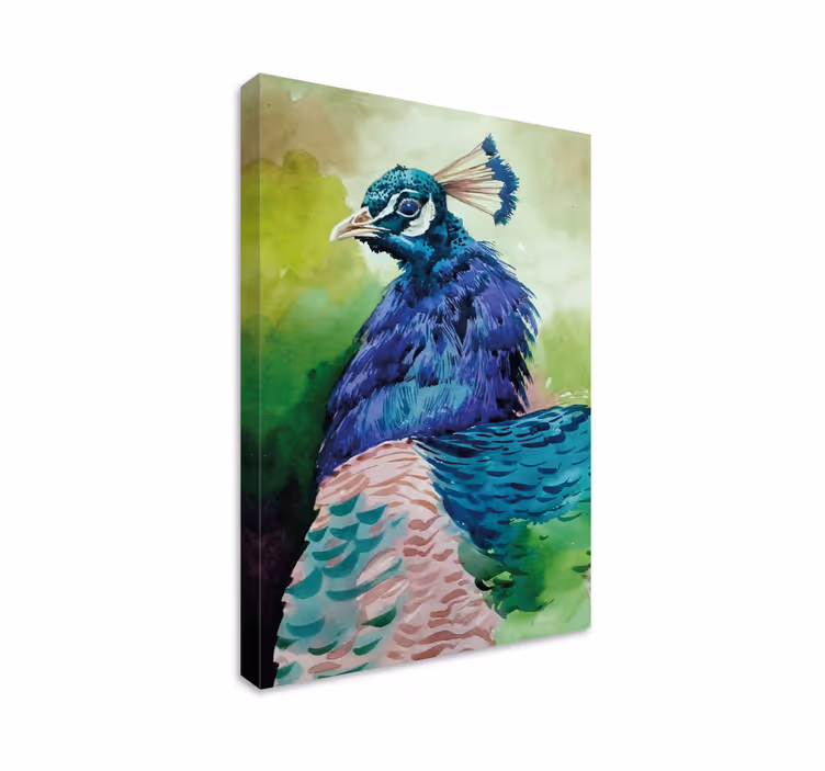 Colorful turkey birds bird canvas art - TenStickers