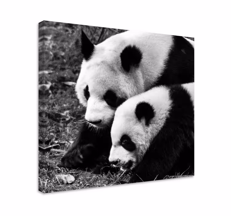 Mother and baby panda animal canvas prints - TenStickers