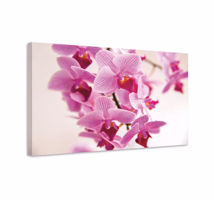 Brilliant Orchid flower flower canvas - TenStickers