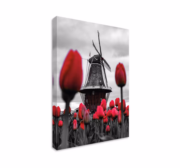 Tulip field with windmill flower canvas - TenStickers