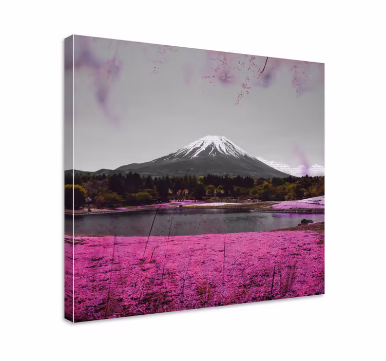 Pink flowers field in Japan flower canvas - TenStickers