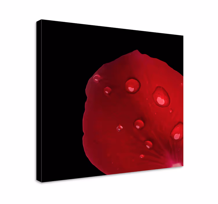 Flowers canvas rose petal design - TenStickers