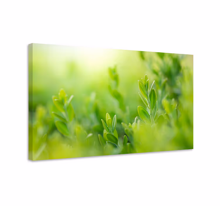 Flowers canvas vibrant greenery close-up - TenStickers