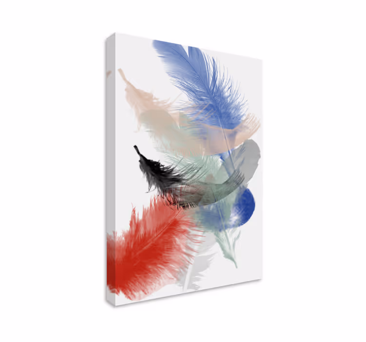 Feather canvas wall art colorful feather showcase - TenStickers
