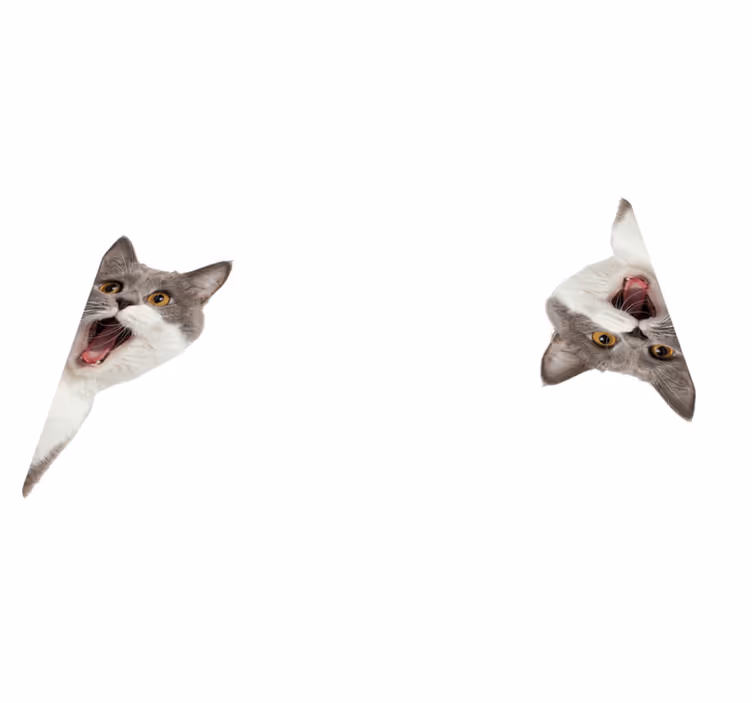 Animal vinyl rug cat watching on white background - TenStickers