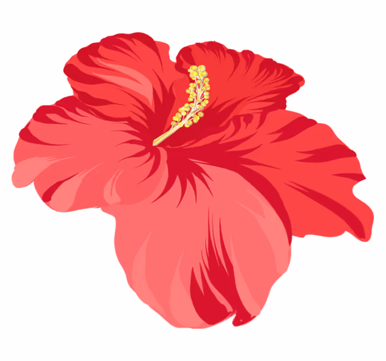 Flower vinyl rug red hibiscus flower set - TenStickers