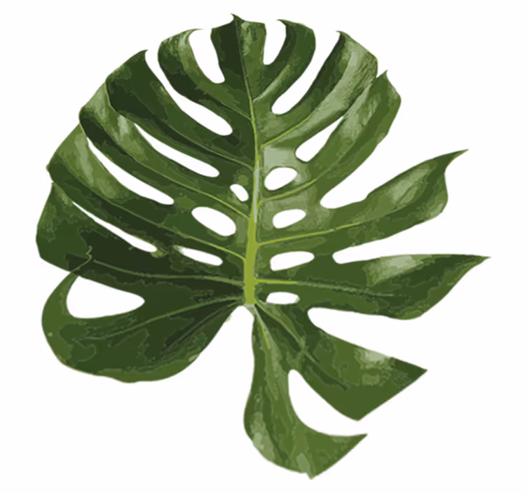 Flower vinyl rug with delicious monstera leaf design - TenStickers