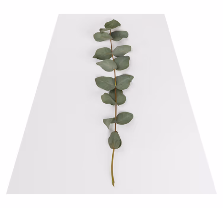 Flower vinyl rug eucalyptus leaves design - TenStickers